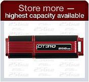 Kingston DT310 256GB